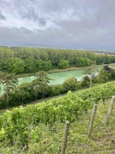 champagne landscape